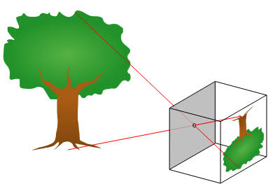 Pinhole camera model